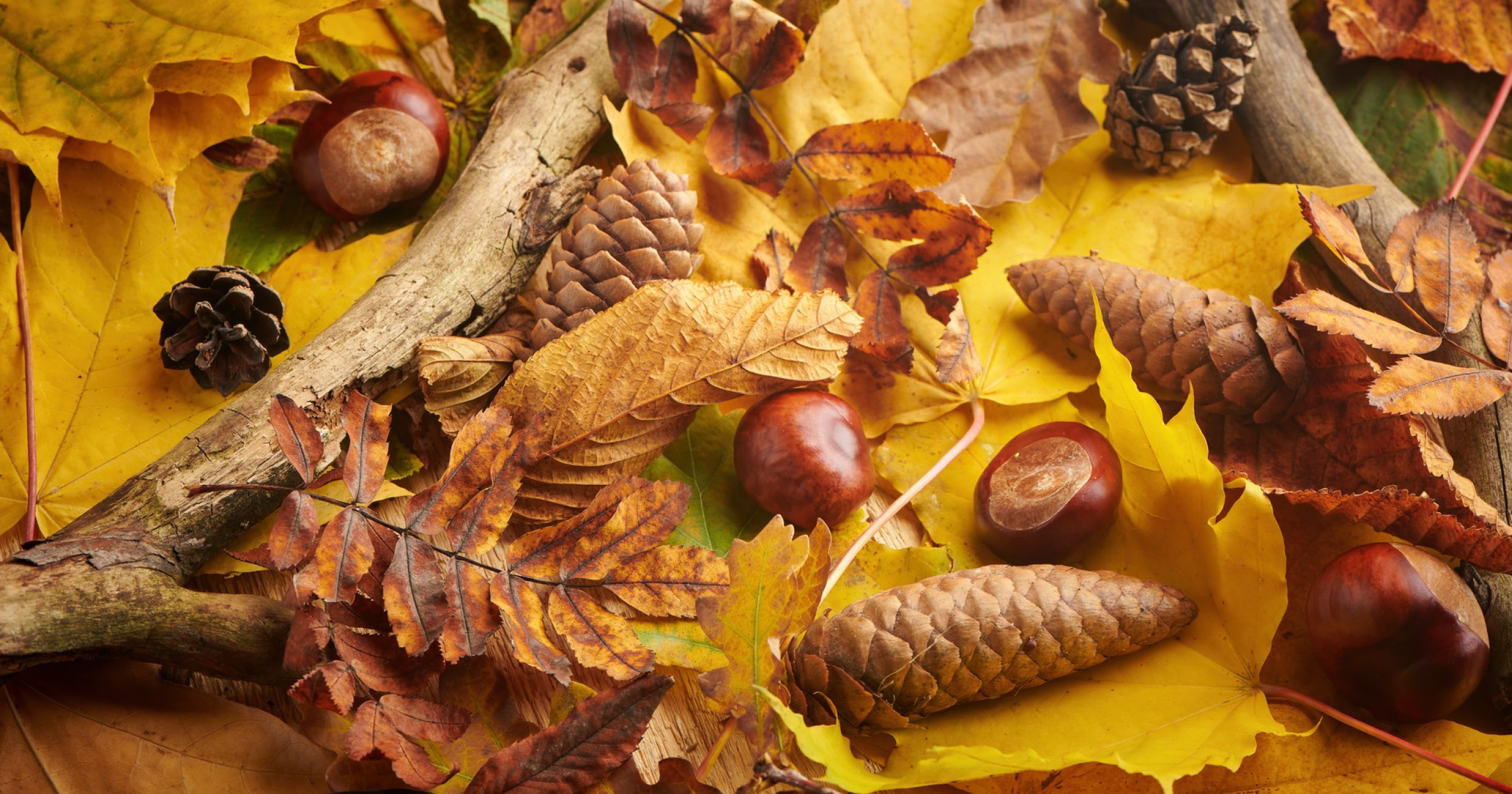 herbstferien-sachsen-anhalt-2023